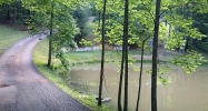 360 Yellowbluff Road Dahlonega, GA 30533 - Image 14580461
