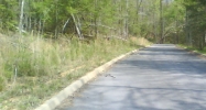 Rail Hill Lane Sevierville, TN 37876 - Image 14582452