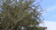 100 South Beach Blvd. Bay Saint Louis, MS 39520 - Image 14584065