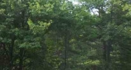 Xxx E. West Branch Rd Houghton Lake, MI 48629 - Image 14584768
