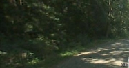 8610 EAST HOUGHTON LAKE DRIVE Houghton Lake, MI 48629 - Image 14584777