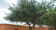 2114 Seven Springs Blvd. New Port Richey, FL 34655 - Image 14586521