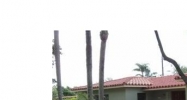 4487 SW 16 ST Miami, FL 33134 - Image 14588065