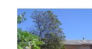20864 GROUPER DRIVE Miami, FL 33189 - Image 14588800