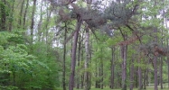 6475 Highway 61 Woodville, MS 39669 - Image 14590574