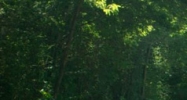 4980 Northside Dr Clinton, MS 39056 - Image 14590560