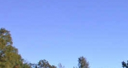 1292 Cynthia Rd Clinton, MS 39056 - Image 14590561