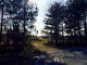 Lot 13 Houston Street Frankford, DE 19945 - Image 14597811