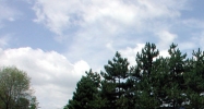 47500 - 47590 Avante Drive Wixom, MI 48393 - Image 14606062