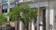 400 S Main St Royal Oak, MI 48067 - Image 14606134