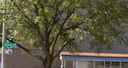 222 E. 6th Street Royal Oak, MI 48067 - Image 14606129