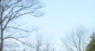 Route 32 & Harry Wells Rd Saugerties, NY 12477 - Image 14609126