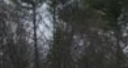 1296 New York 212 Saugerties, NY 12477 - Image 14609129