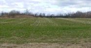 3465 E John Rowan Blvd Bardstown, KY 40004 - Image 14609286