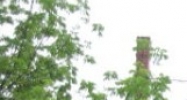 321 Market Street New Berlin, PA 17855 - Image 14609439