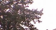 1810 Snydertown Rd Sunbury, PA 17801 - Image 14609431