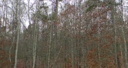 00 Sugar Valley Road/Hwy 136 Sugar Valley, GA 30746 - Image 14609424