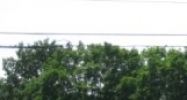 500 Grant St Sunbury, PA 17801 - Image 14609428