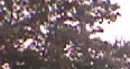 1810 Snydertown Rd Sunbury, PA 17801 - Image 14609427
