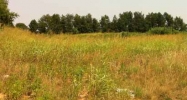 1 Cedar Creek Road-investment / Development Near McNeeley Park Louisville, KY 40229 - Image 14616696