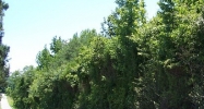 Hwy 61 S (Preston Hwy) Shepherdsville, KY 40165 - Image 14616765