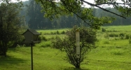 1429 Coral Ridge Rd Shepherdsville, KY 40165 - Image 14616785