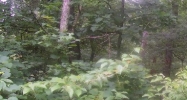 0 Castleman Branch Rd-Vacant Land Shepherdsville, KY 40165 - Image 14616750