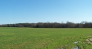Hwy 22 Flora, MS 39071 - Image 14622014