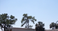7327 Court St New Port Richey, FL 34652 - Image 14622804