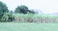 LOTS 18 AND 19, OAK HARBOR BOULEVARD Slidell, LA 70459 - Image 14623377