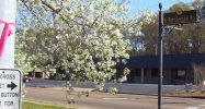 100 N Bierdeman Road Pearl, MS 39208 - Image 14623583