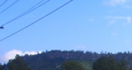 8440 Spruce Mountain Road Larkspur, CO 80118 - Image 14624011