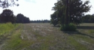 Rue Des Babineaux Rd Scott, LA 70583 - Image 14624025