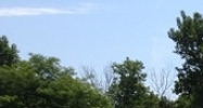 3244 Beltline Ct. NE Grand Rapids, MI 49525 - Image 14624177