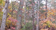 Seagle Hollow Sevierville, TN 37862 - Image 14624587
