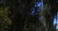 1735 George Jenkins Blvd Lakeland, FL 33815 - Image 14625765