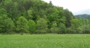 3119 Roaring Creek Way Sevierville, TN 37862 - Image 14628075