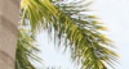 1830 S. Osprey Sarasota, FL 34239 - Image 14628275