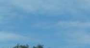 5116 Trouble Creek Rd New Port Richey, FL 34652 - Image 14629405