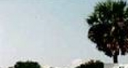 7118 US 19 Hwy New Port Richey, FL 34652 - Image 14629412