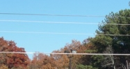 6221 Shallowford Road Chattanooga, TN 37422 - Image 14630913