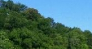 Parcel 032.07, Willa View Drive Pigeon Forge, TN 37863 - Image 14631543