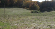 124 Bailey Road Elizabethton, TN 37643 - Image 14658865