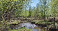 L4 B2 N Showers Street Palmer, AK 99645 - Image 14661081