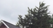 4365 Tuma Rd Yorkville, IL 60560 - Image 14672026