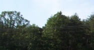 9021 Hwy. 58 Harrison, TN 37341 - Image 14697441