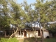 883 Falconwood Dr San Marcos, TX 78666 - Image 14706251