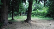 Evergreen (Parcel 3) Av Salem, OR 97301 - Image 14740091