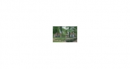 108 Kremer Falls Trace Canton, GA 30114 - Image 14740146