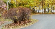 231 Broad St Claremont, NH 03743 - Image 14743539